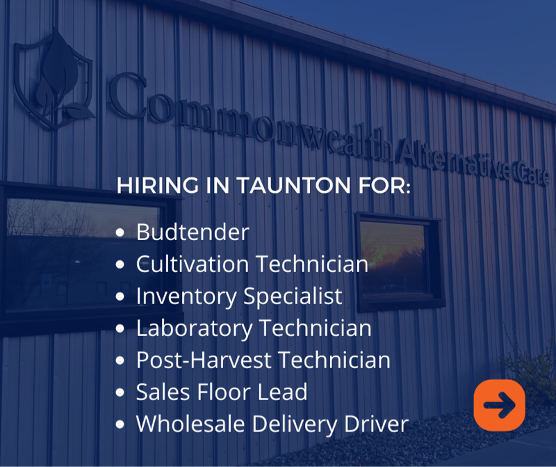 CommonwealthAlt's tweet photo. Looking to join the cannabis industry? Join us on July 1st! 🙌 

#cannabiz #ganjaprenuer #hiringevent #taunton #brockton #massachusetts #grassachusetts #commonwealthaltcare https://t.co/yyQCPmz4SJ