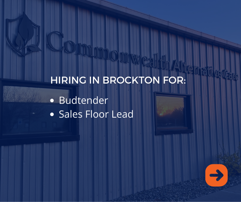 CommonwealthAlt's tweet photo. Looking to join the cannabis industry? Join us on July 1st! 🙌 

#cannabiz #ganjaprenuer #hiringevent #taunton #brockton #massachusetts #grassachusetts #commonwealthaltcare https://t.co/yyQCPmz4SJ