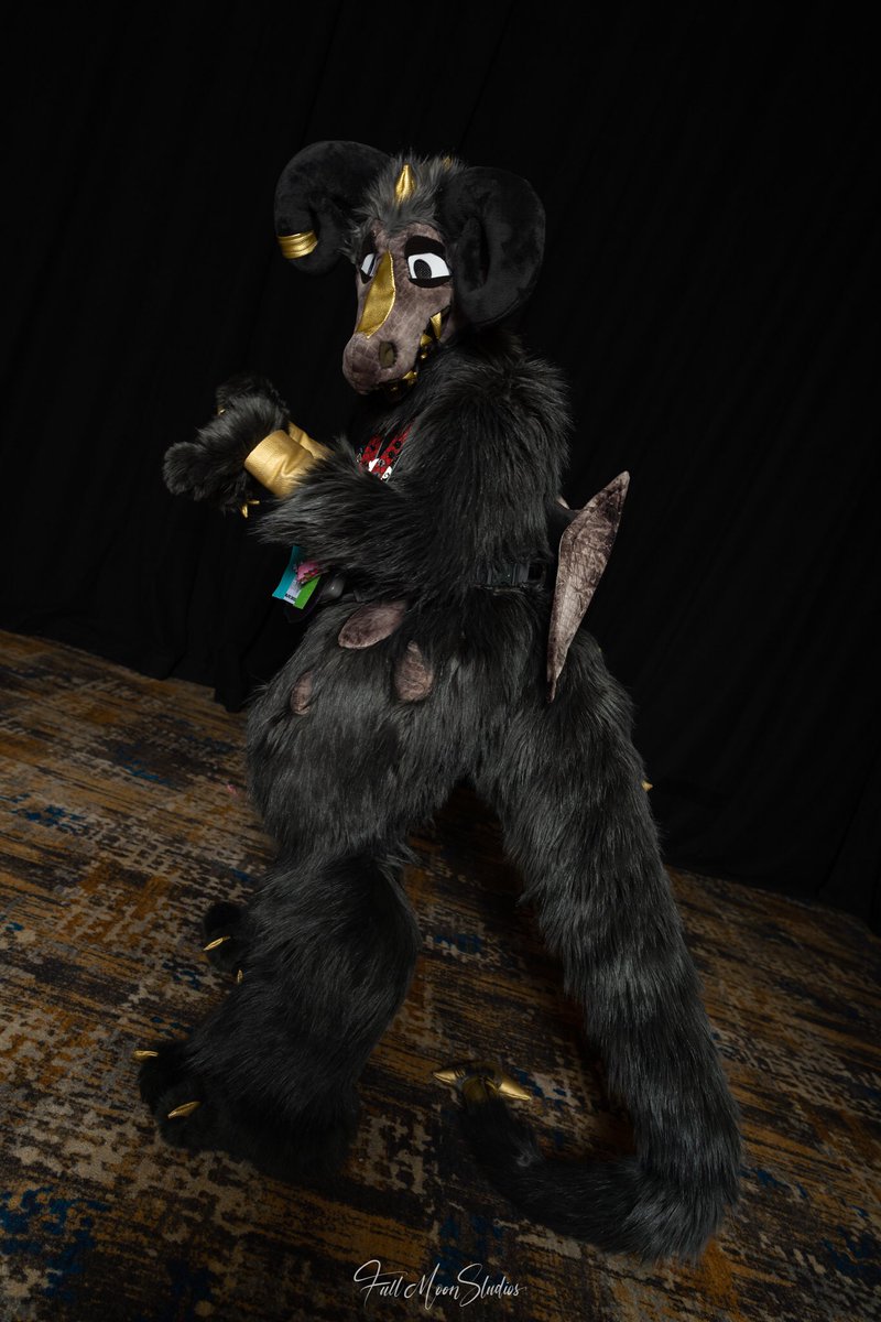 silver_specs's tweet photo. Just wanted to share that I was at #BLFC2020 and I just remembered yesterday to check the website for photos of Photonyx! Here’s the shiny, fluffy derg! https://t.co/mTDY9NTEEY