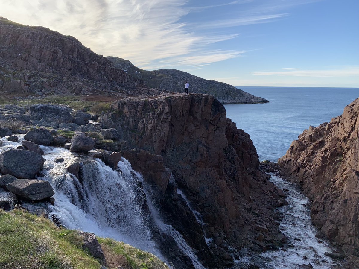 Мешаня tweet media