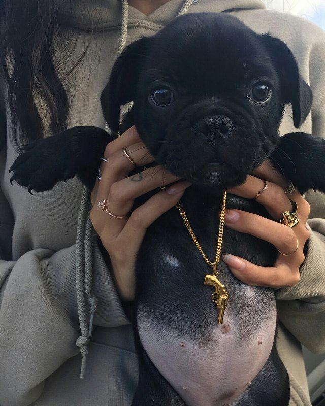 ARTIFAXING (@pedestrian) on Twitter photo 