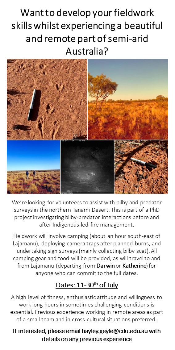 We're looking for two volunteers to assist with #bilby and #predator surveys in the #TanamiDesert from the 11-30th of July. A great opportunity to learn some new skills (#cameratraps and #sign surveys) while exploring a beautiful part of semi-arid #Oz! Please share 🙂