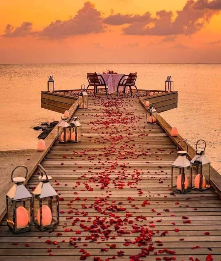 مَع من تَود إن تَكون هُنا ، وتنسَى العالم بأكمله♥️