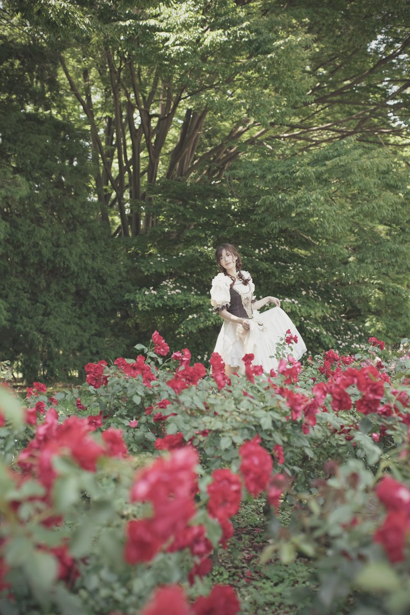maria212124257's tweet photo. Rose Garden https://t.co/QuzPQUjkqM