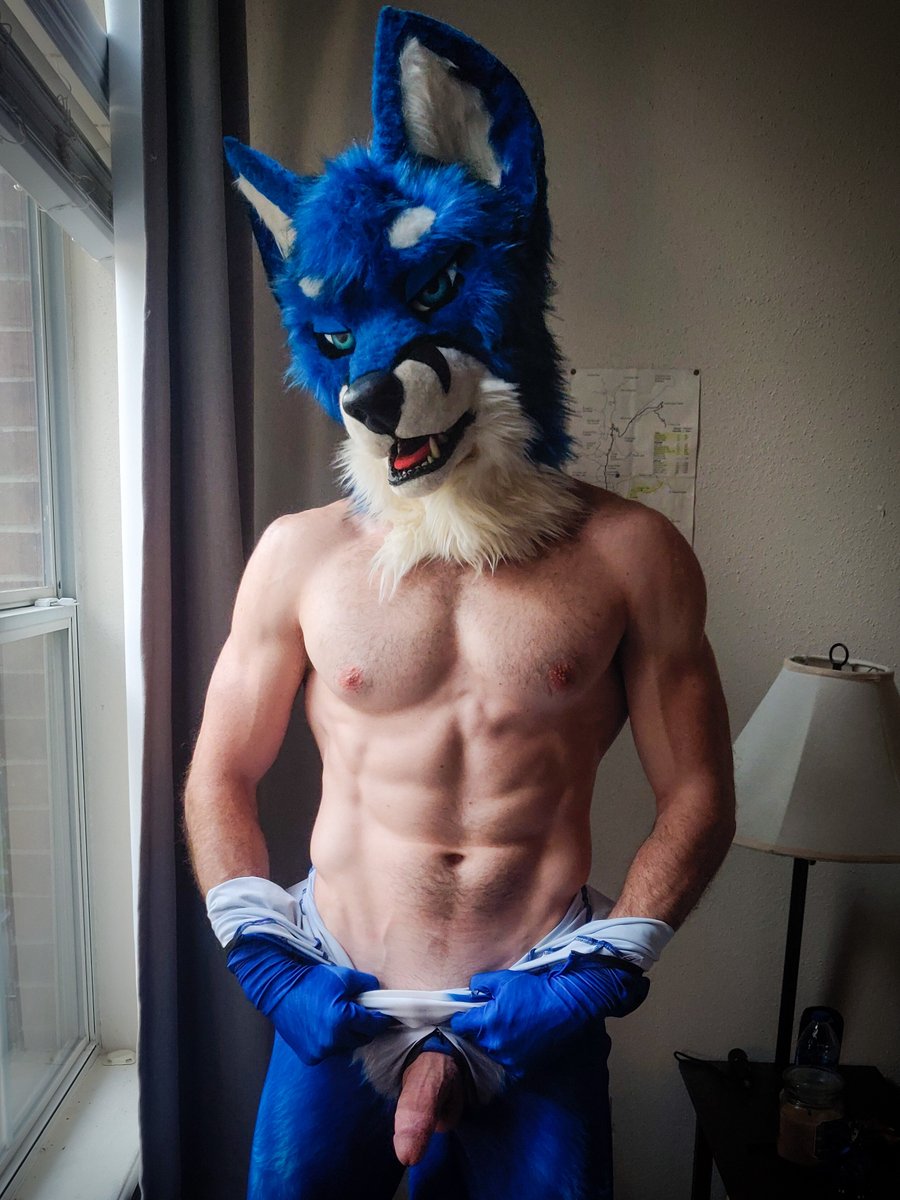 Zydras (@muskymuscles) on Twitter photo Summer is here 🌡️🥵 time to shave off all this fur... Summer is here 🌡️🥵 time to shave off all this fur...