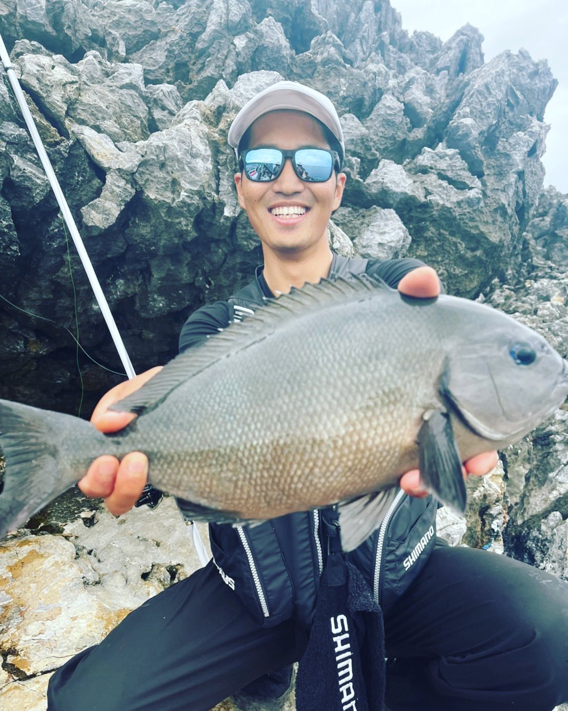 تويتر 尾長グレ البحث في تويتر