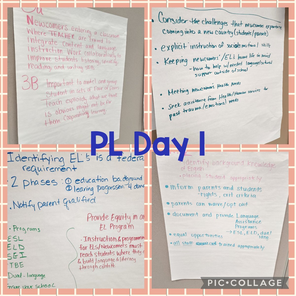 CarlaJano's tweet photo. Great reflections about Newcomers, Pl day 1 training.๐ค๐ง๐ @pisdesela @PISDCI https://t.co/c9HQFLm7AY