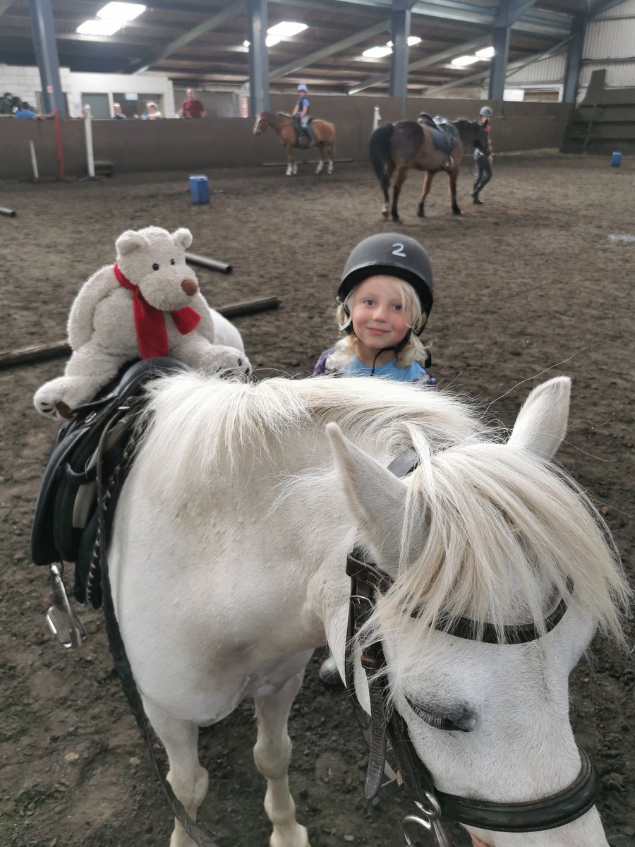 kelsey_simon's tweet photo. So Archie the Reading Bear is a Lifeguard and qualified Riding Instructor, who knew!? @NA_dolphins @114ColtmanSt https://t.co/9yH3FdoaQD