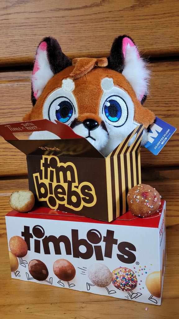 Arc_Husky's tweet image. ...and thus this little #fox earned its name. Meet #Timbit! 🦊 (I hope @TimHortons is OK with this 😸). @Makeship plush by @silverfox5213