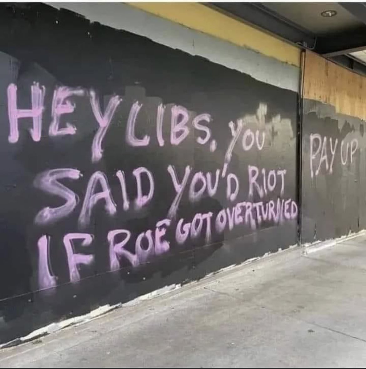 SavageJoyMarie1's tweet photo. And “riot” does not mean knitting hats and a costume parade you call a “March” https://t.co/csX6BeLWRt