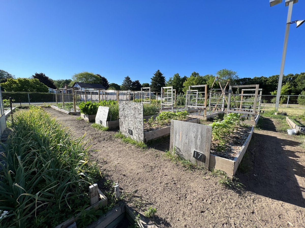 I’m incredibly inspired by all of the cool environmental projects taking place at Alexander MacKenzie Secondary School. What a fantastic opportunity for our students. Horticulture, beekeeping, vermicomposting, farm to table cooking… Incredible! <a href="/LKDSB/">Lambton Kent DSB</a>