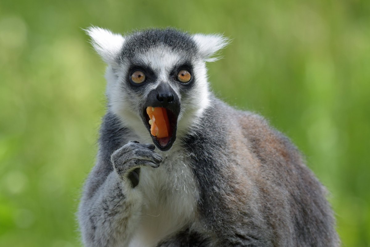 Simon Arron 🇪🇺 tweet media