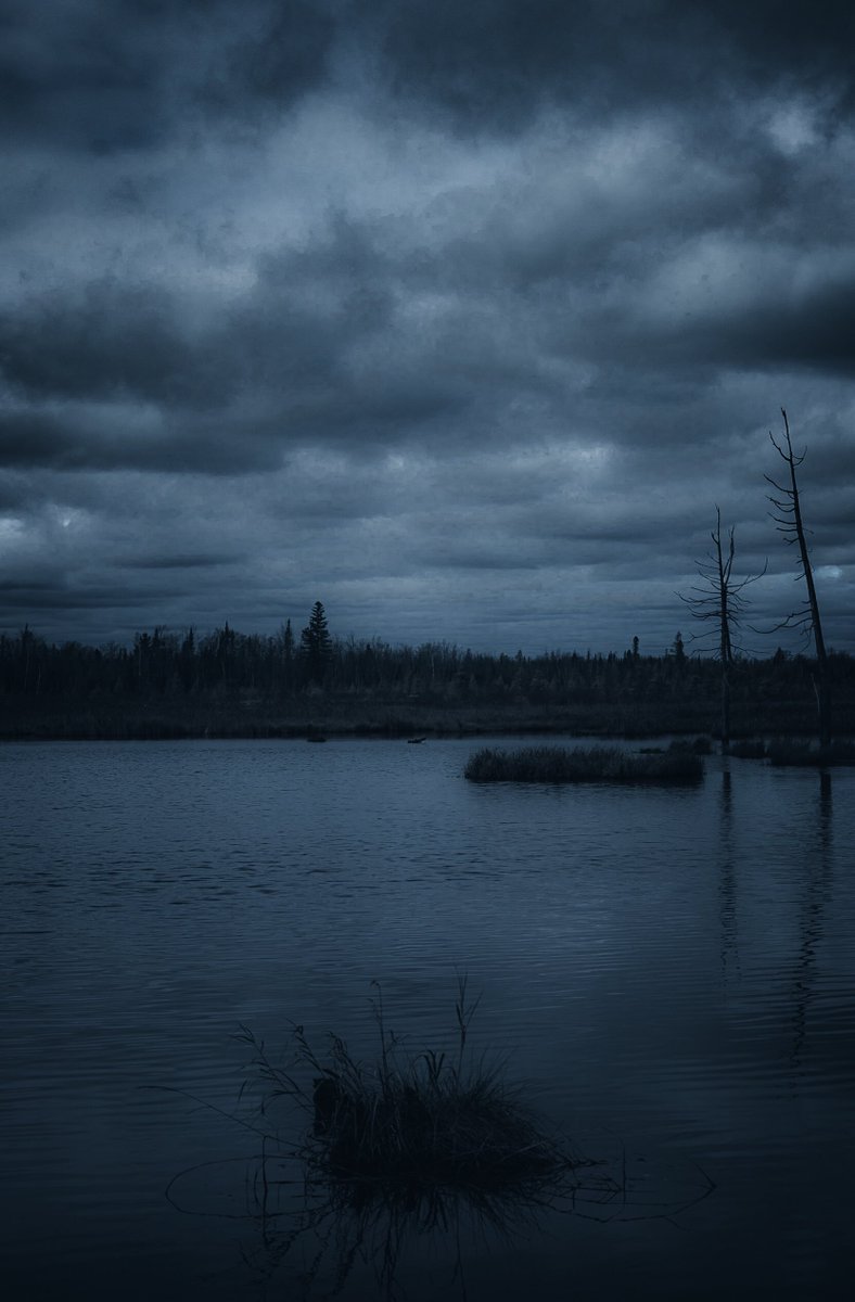 LokiHighlock's tweet image. lost