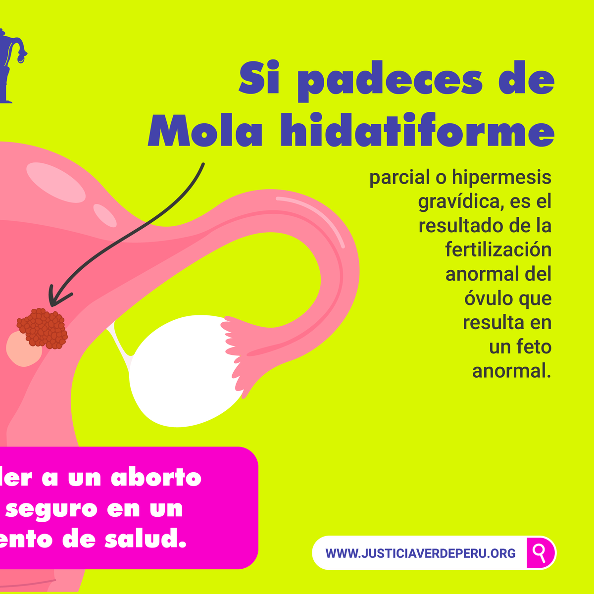 Justicia Verde Perú #SeráLeyEnPerú tweet media