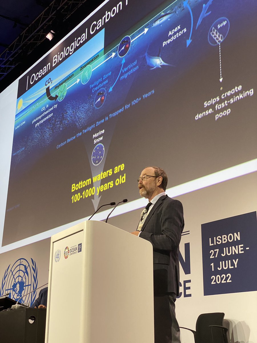 WHOI's tweet image. .@Cafe_Thorium took the stage at #UNOC2022 today to present a scientific code of conduct to guide #CarbonDioxideRemoval research while we hasten the search for #oceansolutions. You know he was talking about the #oceantwilightzone because the word poop appears. #marinesnow