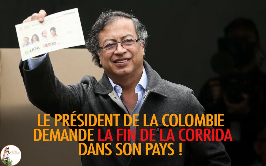 LigueDesAnimaux's tweet photo. Le Président de la Colombie demande aux maires de ne plus autoriser de spectacles avec la mort de personnes ou d'animaux après le terrible accident survenu dans une arène !

#StopCorrida https://t.co/4ZeSY2M9IW