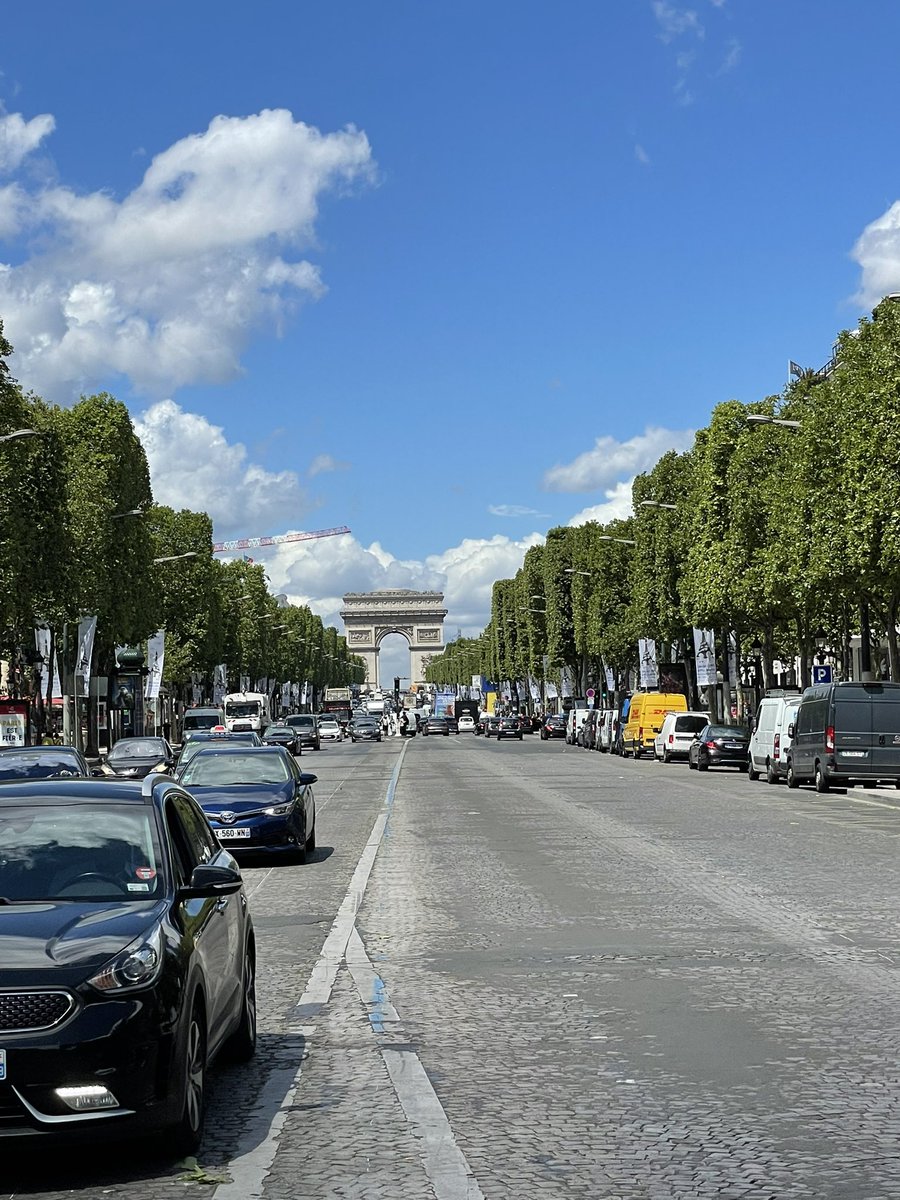 treesrtheanswr's tweet photo. Really surprising how well the London plane trees are doing along the Champs-Élysées considering their growing spaces. #treesaretheanswer #treesareamazing https://t.co/Cpb7HyFBv7