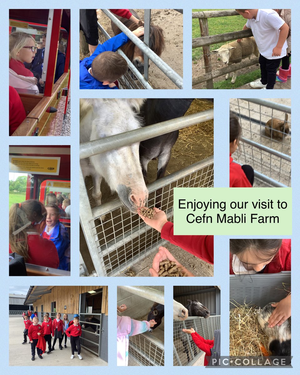 Dosbarth Branwen tweet media