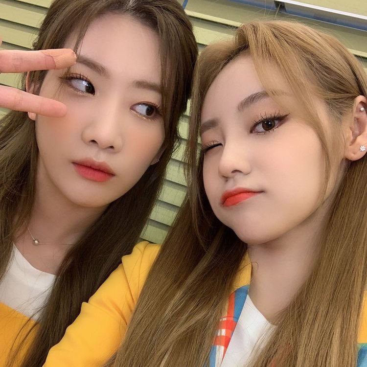 liphuifiles's tweet photo. #LOONA #김립 #SEVENTEEN #준 https://t.co/R3y8XS9BrT