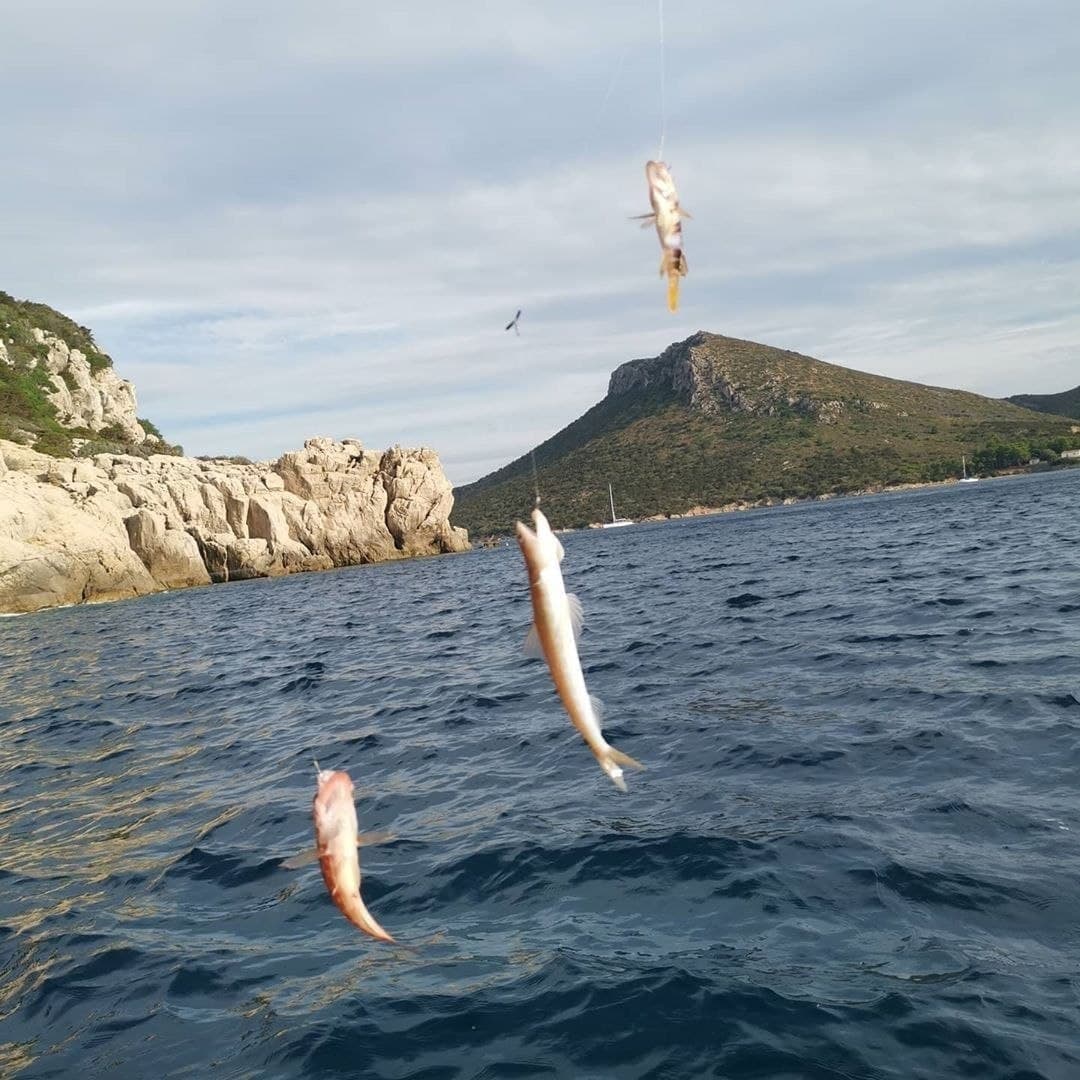 naike6241's tweet photo. Sea fishing is one of my greatest pleasures😜 https://t.co/Osuy3qPEXa