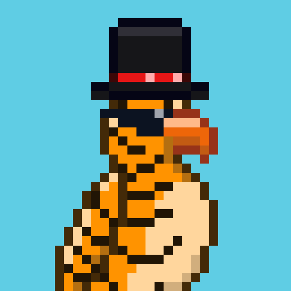 Parrots 🦜 tweet media