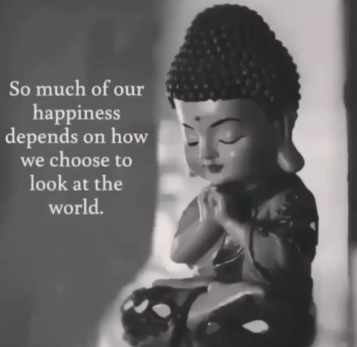 Could not be more true. I choose inner peace and love. Be kind to others out there. Remember, everyone is doing their best. Forgive often and Love much!