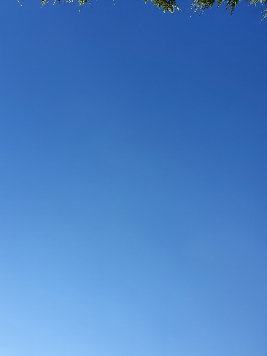 Así están hoy mis pensamientos