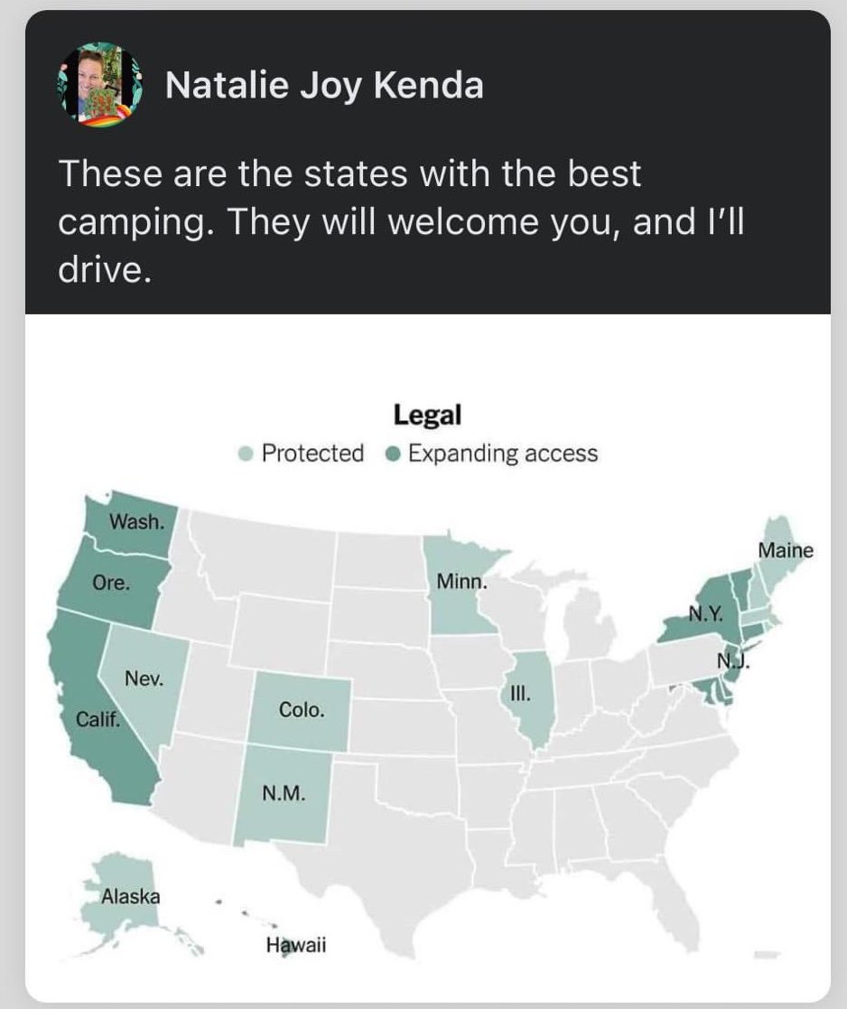 _kateshook's tweet image. 