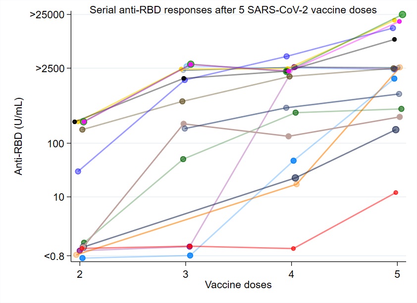 Caoilfhionn Connolly tweet media