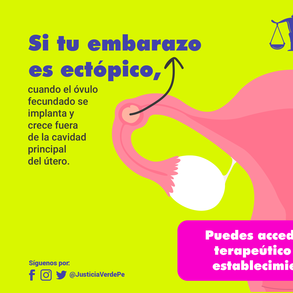 Justicia Verde Perú #SeráLeyEnPerú tweet media