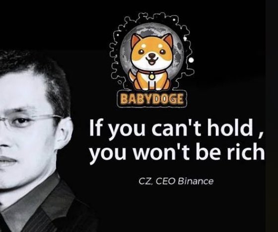 castledarkmoor's tweet photo. babydoge
next year "today"
coinmarketcap will be top 50
all investors should make their plans accordingly
don't regret later

#BabyDogeCoin #BabyDogeCoin· #Crypto #altcoins #Bullish
@babydoge
#BabyDogeCoinArmy  #BabyDoge #Binance
@cz_binance 
@elonmusk https://t.co/w4VdGDzUNj