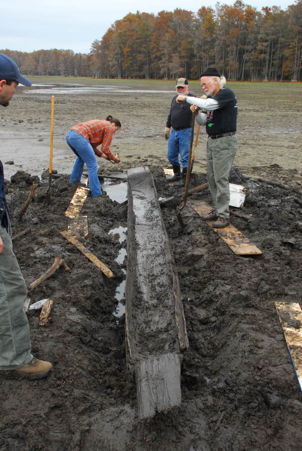 Florida Memory tweet media