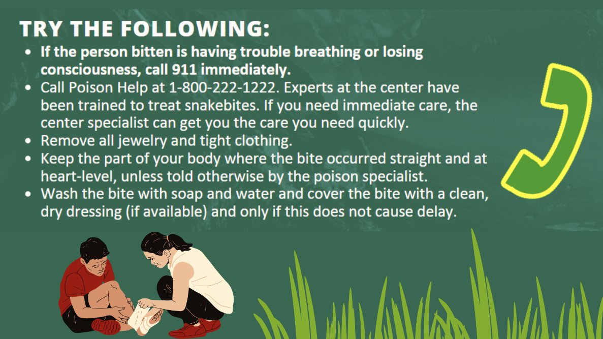 archildrensIPC's tweet photo. Unfortunately…it happened…you or your child just got bit by a snake. So what steps do you need to take next? Here’s what we suggest! 👉 #BeInjuryFree #SnakeBiteEducation https://t.co/RULvtAVDsB