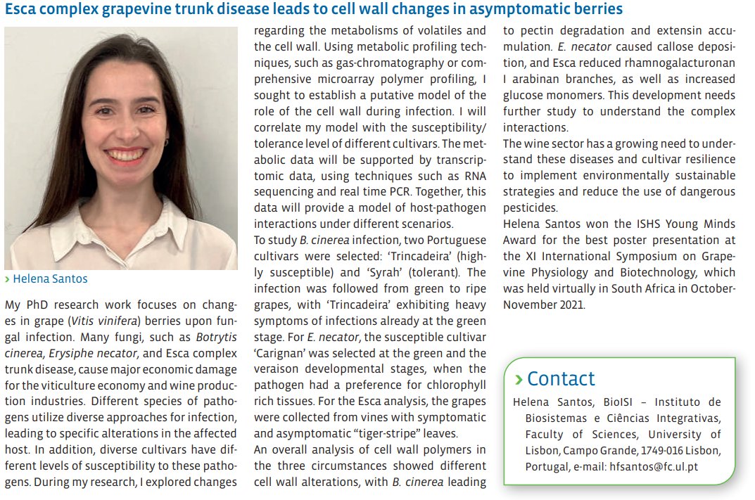 fruitfgb's tweet photo. 🎉@HelenaFSantos  won the ISHS Young Minds Award for poster presentation. A summary of her research was published in Chronica Horticulturae Vol.62 Nr.2 (📰 https://t.co/BueWV7jZCR).
 
Full presentation here👉https://t.co/SUqEDFM7Ui
 
#ISGP2021 | #grape | #Esca 
@BioISI @FC_UL https://t.co/aV5Lokf4A0