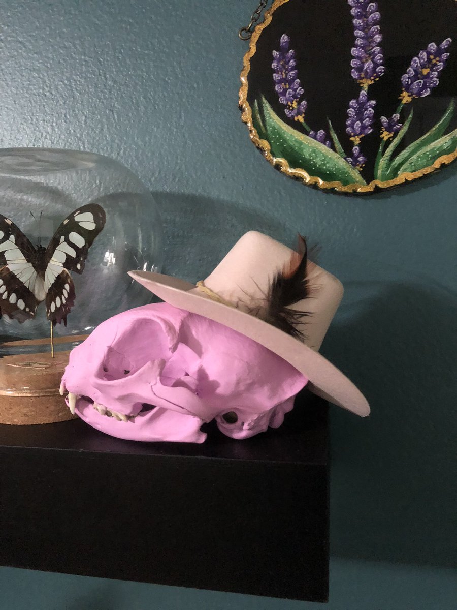 SydneEdgington's tweet photo. 🤠 https://t.co/Iqak5tgJGW