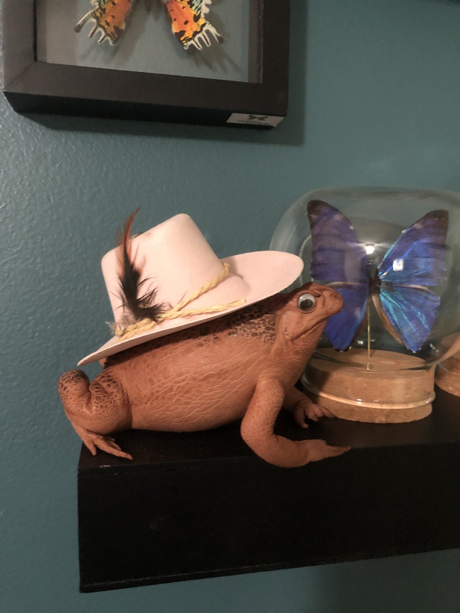 SydneEdgington's tweet photo. 🤠 https://t.co/Iqak5tgJGW