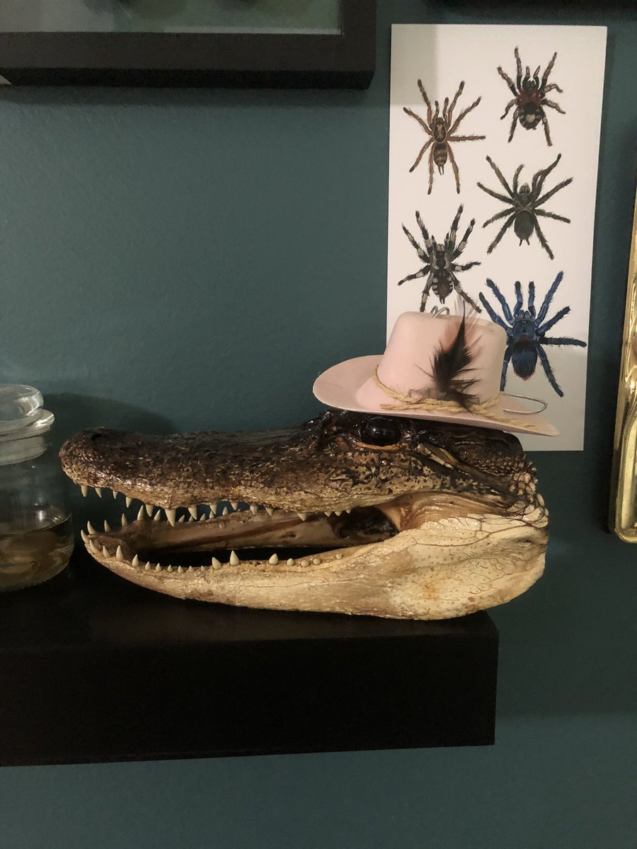 SydneEdgington's tweet photo. 🤠 https://t.co/Iqak5tgJGW