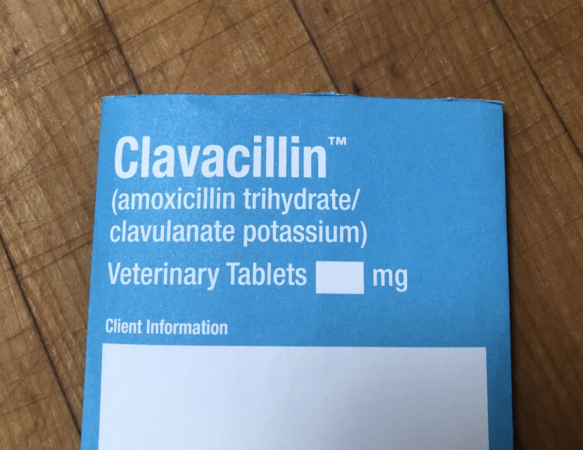 Lucy Ruangvoravat tweet media