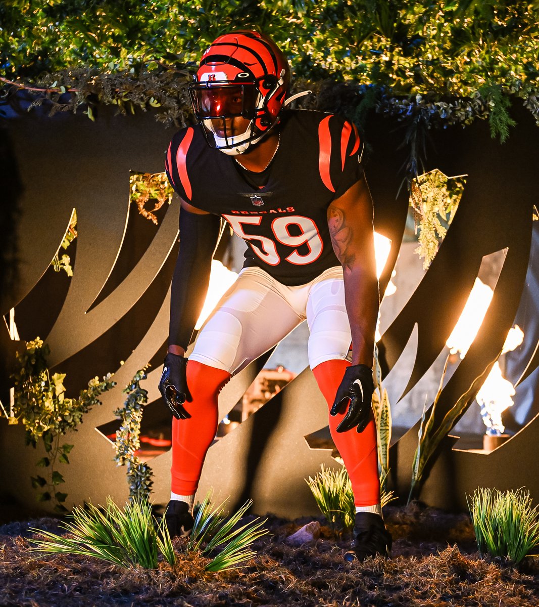 Cincinnati Bengals tweet media