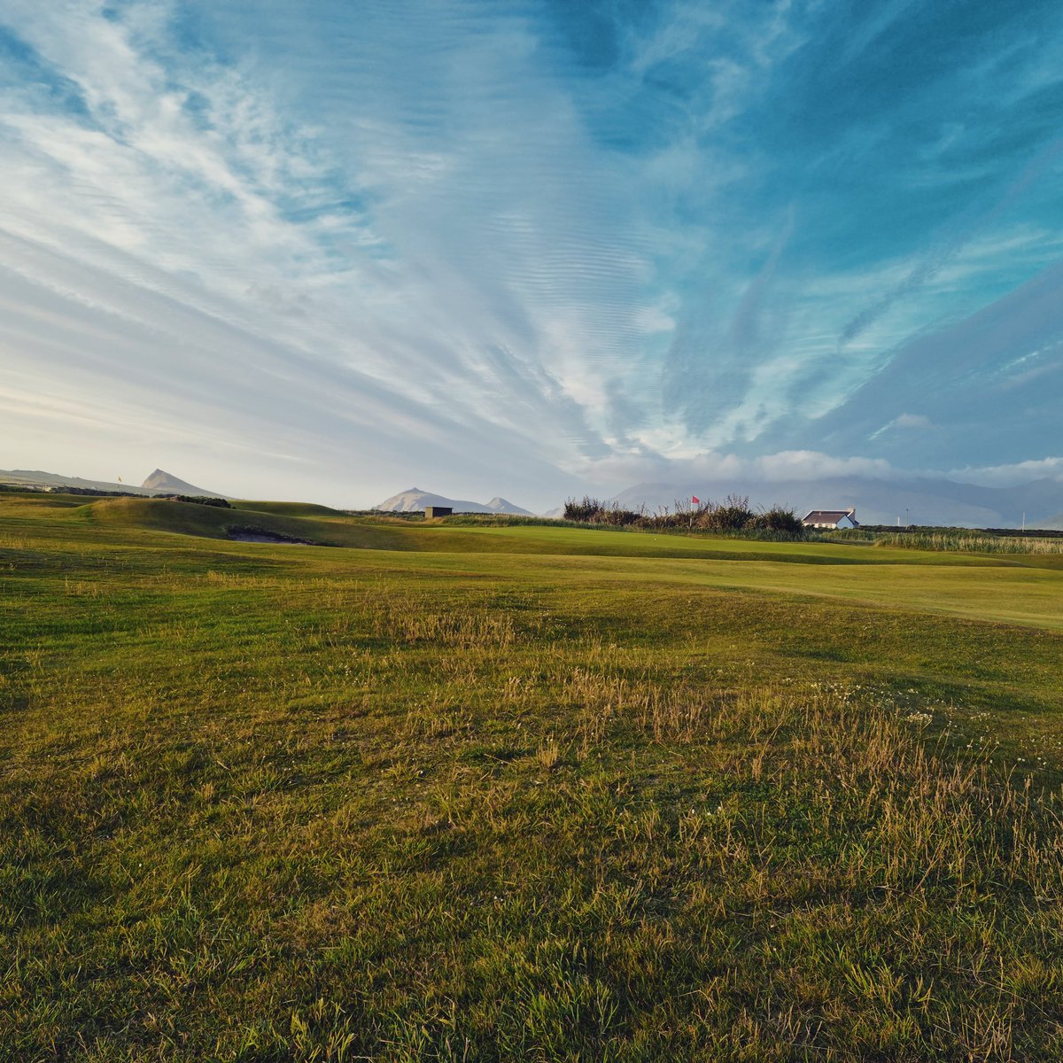 CeannSibealGC's tweet photo. Open Singles this Saturday July 2nd! @golfirelandofficial members €35. Book online via on our website.
Also have open comps all next weekend!
Friday 8th July - 3 person scramble
Saturday 9th July - Team of 4
Sunday 10th July - Open 4ball
#opencomp #opengolf #golf https://t.co/uGMdfz6xuh