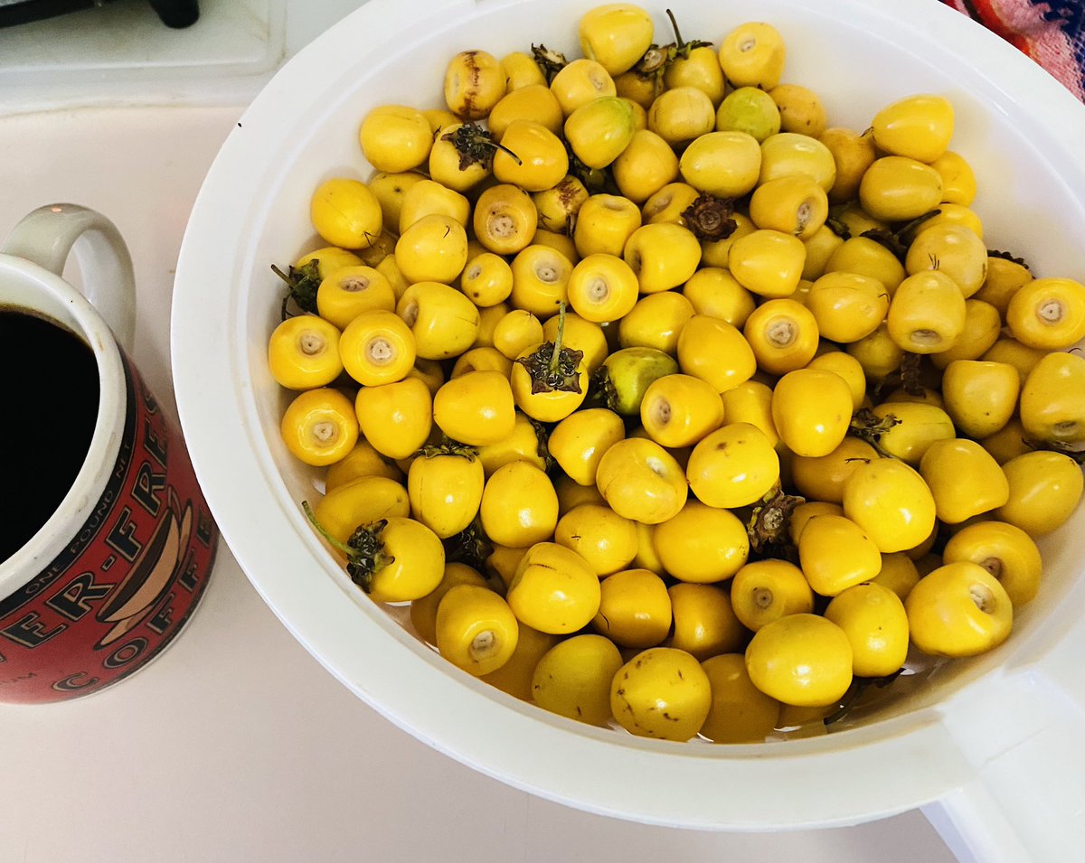 jHoSeLiNgB's tweet photo. #Nanches de la Huerta ❤️ https://t.co/gtpXxPapJa