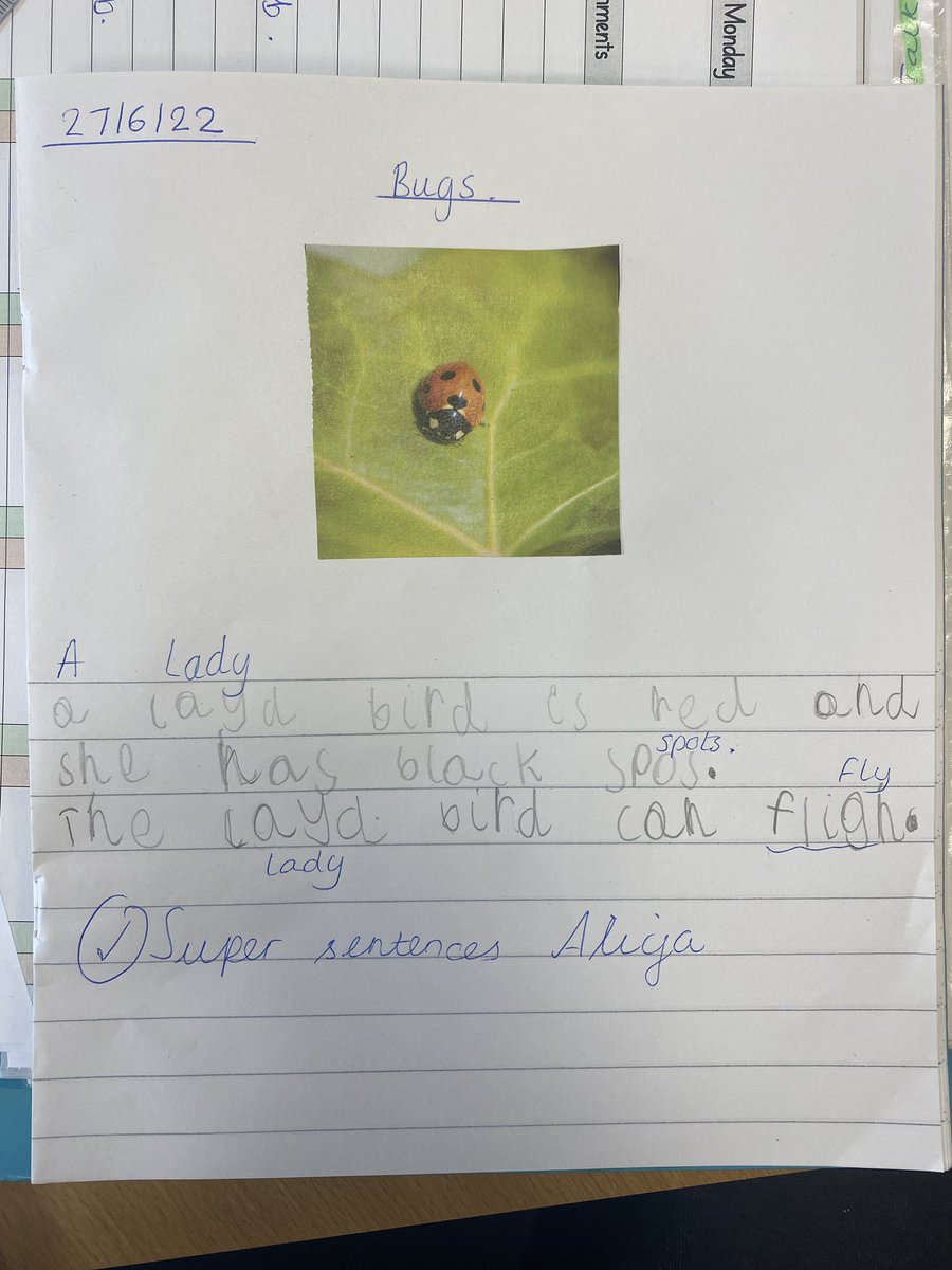 sjvblackpool's tweet photo. ✏️ Reception have been writing sentences about some of the different bugs we have found when exploring in our outdoor area 🐝🐞🐌🕷 #SJVRD #SJVEnglish ✏️ https://t.co/KMWU2LPmZM