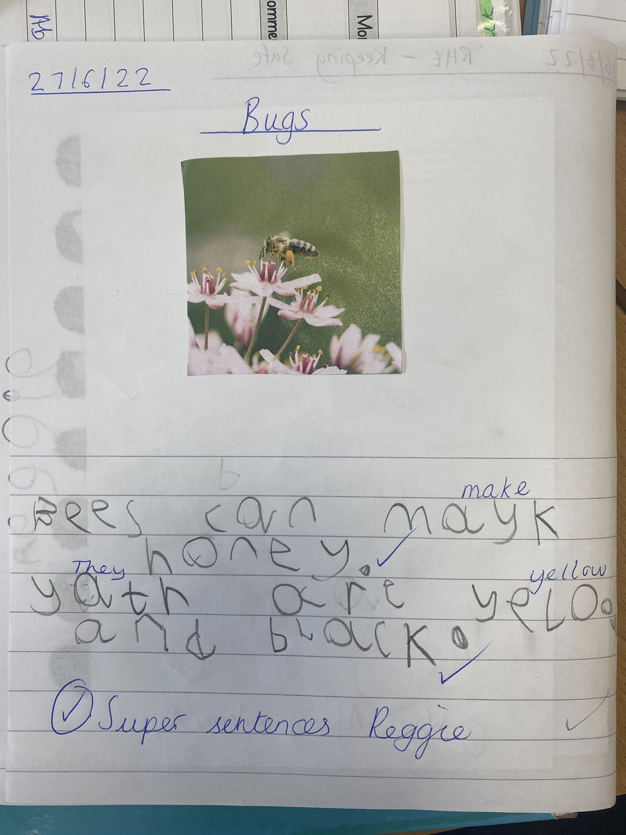 sjvblackpool's tweet photo. ✏️ Reception have been writing sentences about some of the different bugs we have found when exploring in our outdoor area 🐝🐞🐌🕷 #SJVRD #SJVEnglish ✏️ https://t.co/KMWU2LPmZM