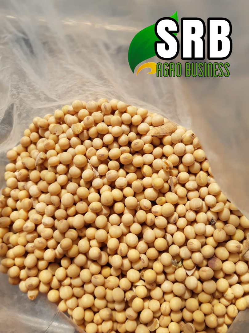 SRBAgroBusiness's tweet photo. Nos dedicamos a la compra y venta de
 CEREALES/GRANOS/MERCADO INTERNO E INTERNACIONAL. 
Comercializamos MAÍZ, SOJA, GIRASOL, FRIJOLES; 
SECTOR EQUINO PURA SANGRES 
para CARRERA, POLO, SALTO y MONTA 
con línea genética y documentación. https://t.co/uLYYrghjH3