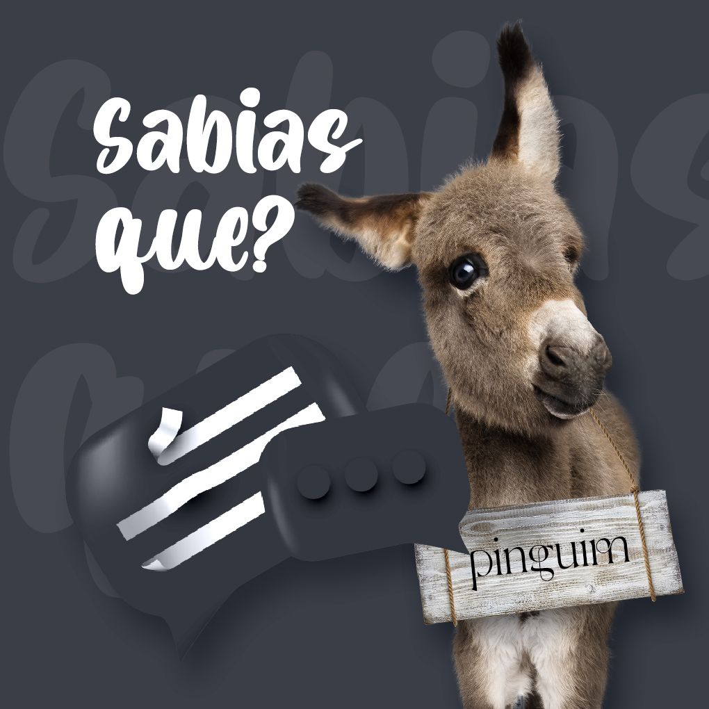 Foresttail2021's tweet photo. Sobra a questão será que os andorinhões dormem em voo ou se não dormem todos aqueles meses, mas esta curiosidade fica para a próxima

#foresttail #forest #tail #association #associacao #portugal #verde #animais #plantas #dafarm #dafarmlisboa #pinguim #adorinhao https://t.co/QhAghhrehf
