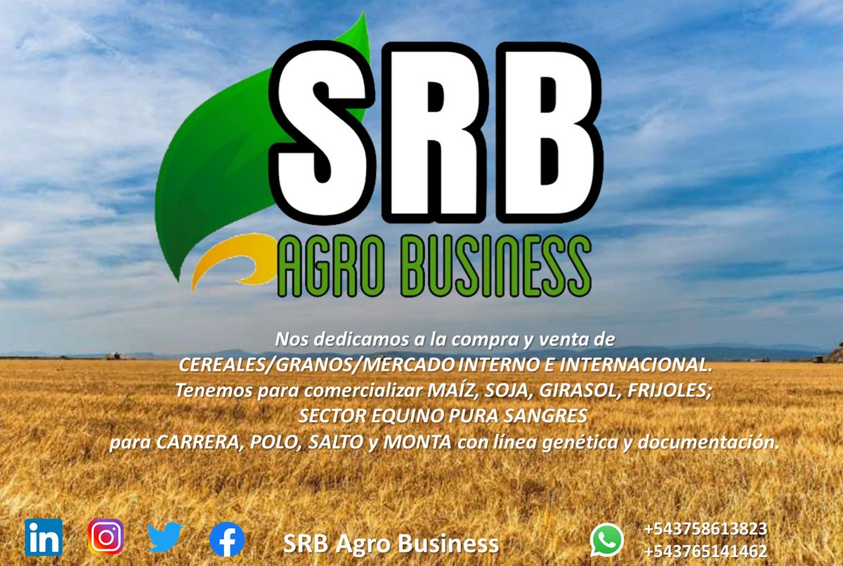 SRBAgroBusiness's tweet photo. Nos dedicamos a la compra y venta de
 CEREALES/GRANOS/MERCADO INTERNO E INTERNACIONAL. 
Comercializamos MAÍZ, SOJA, GIRASOL, FRIJOLES; 
SECTOR EQUINO PURA SANGRES 
para CARRERA, POLO, SALTO y MONTA 
con línea genética y documentación. https://t.co/rQAPDAU5hO