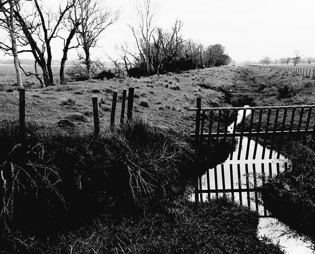 HierroCon's tweet photo. If you are a fan of spooky places, check out these haunted places in Canada. 
#Canada #haunted #worldtravel #bucketlist #dreamtrips

https://t.co/7p8SPMuoB7 https://t.co/tp0WZFCW5C