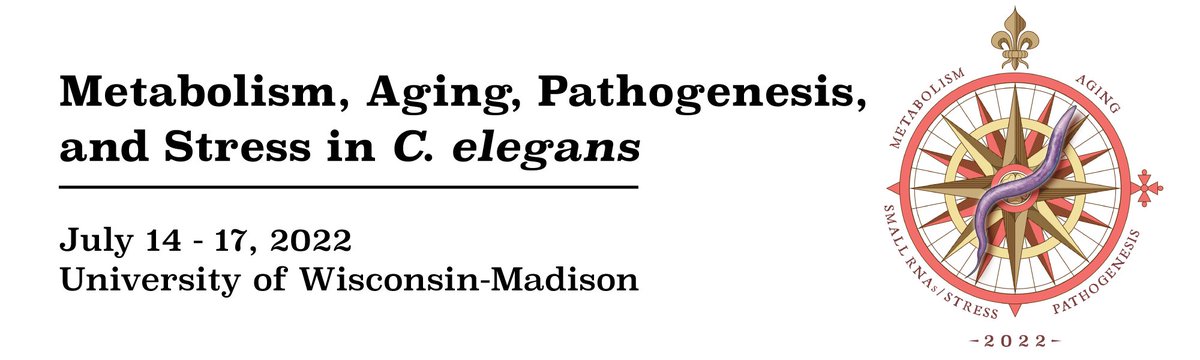 MBFBioscience's tweet photo. We're getting ready for the Metabolism, Aging, Pathogenesis, and Stress (MAPS 2022) C. elegans meeting!
📅: July 14 - 17
🌎: University of Wisconsin-Madison
We hope to see you there!
@UWMadison #WormLab #Celegans #MAPS2022 https://t.co/4crrMNg0aA
