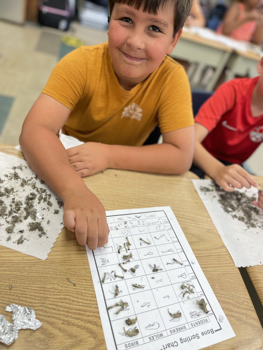 Moles, shrews, birds and rodents. What bones and skulls did you find in your owl pellet? <a href="/PrincipalRomano/">Rob Romano</a> <a href="/D_M_Eagle/">D.M. Eagle Public School</a>