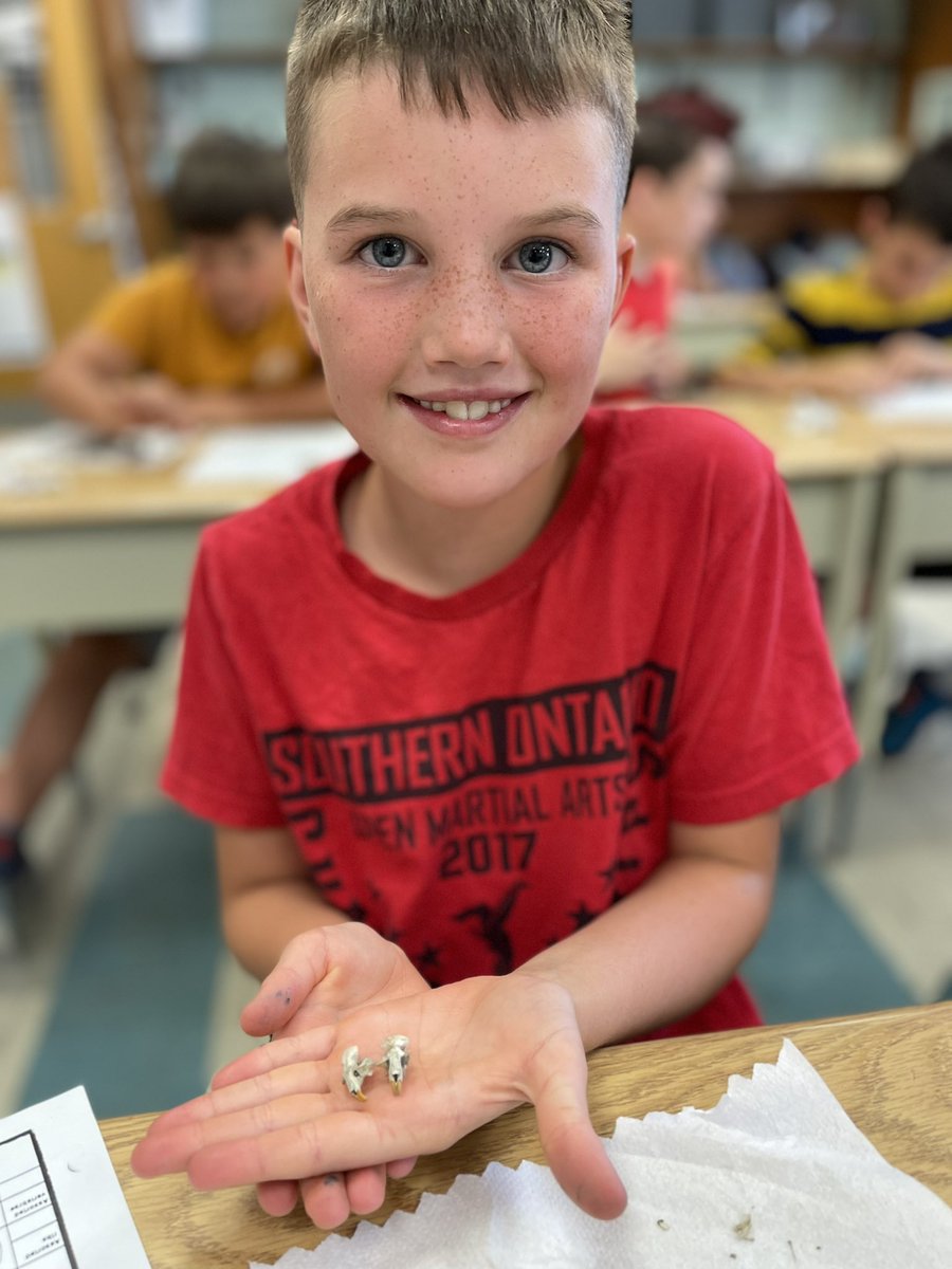 5 Awesome tweet media